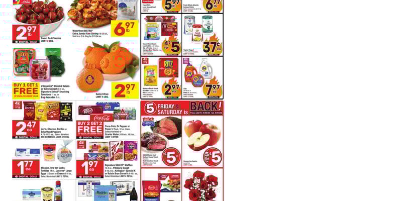 Flyer thumbnail image