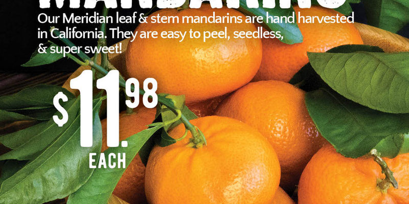 Flyer thumbnail image