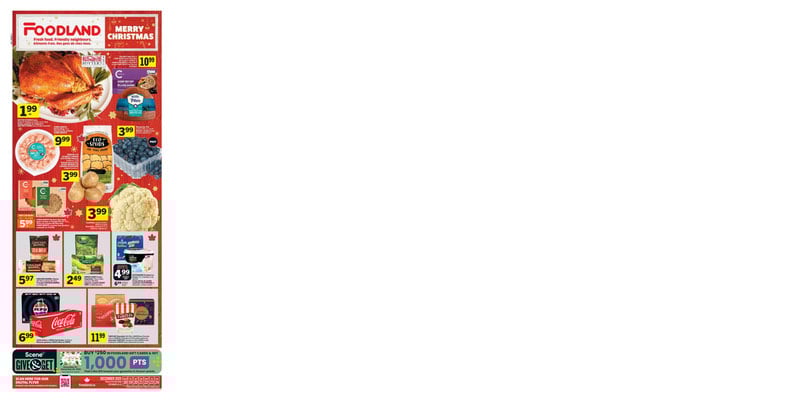 Flyer thumbnail image