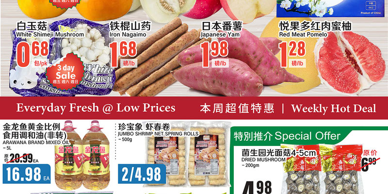 Flyer thumbnail image