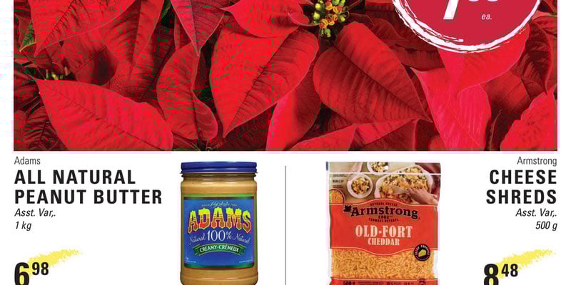 Flyer thumbnail image