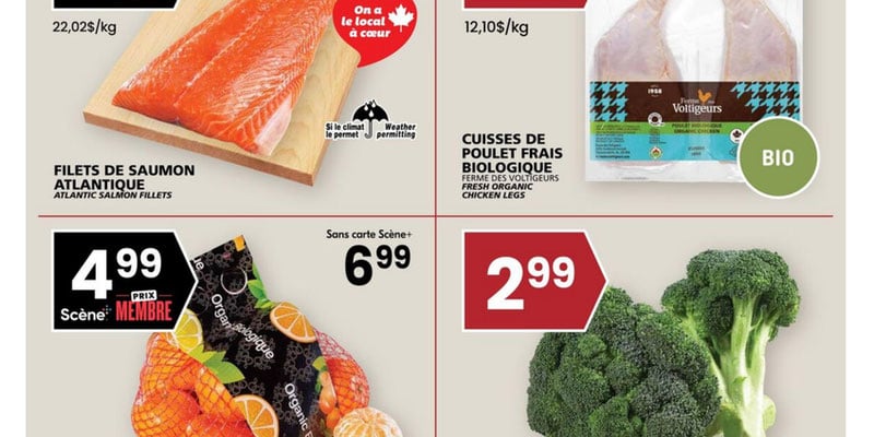 Flyer thumbnail image