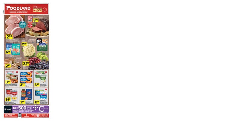 Flyer thumbnail image