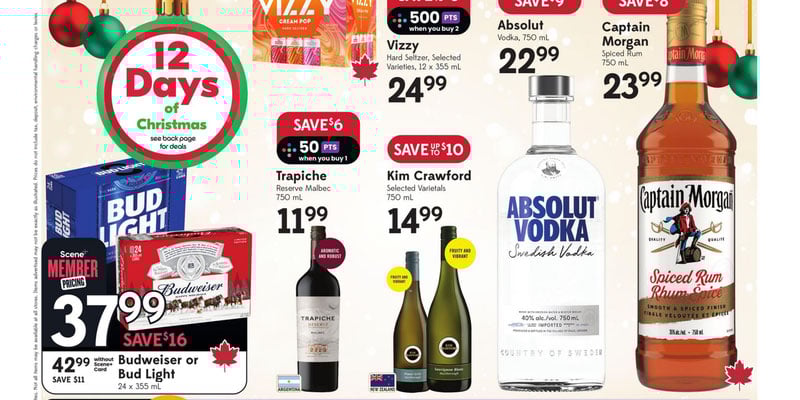 Flyer thumbnail image