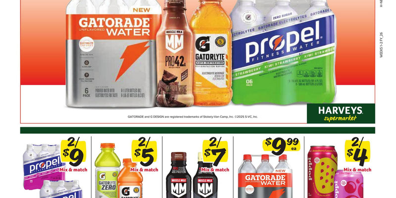 Flyer thumbnail image