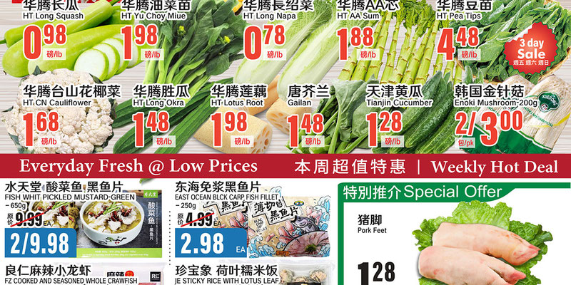 Flyer thumbnail image