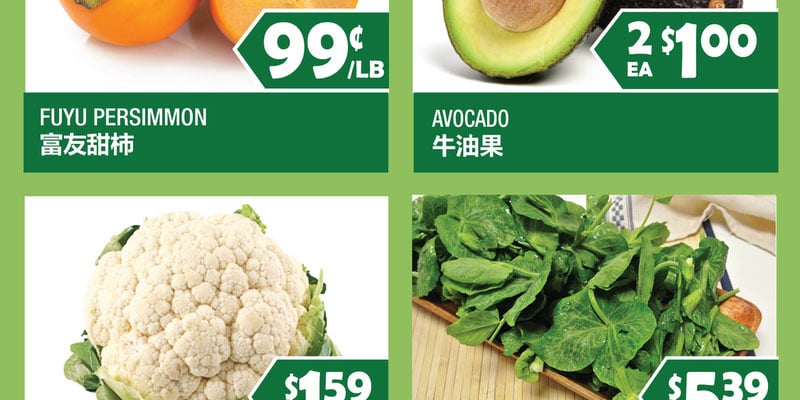 Flyer thumbnail image