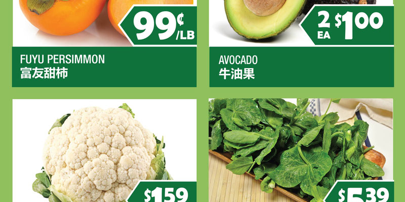 Flyer thumbnail image