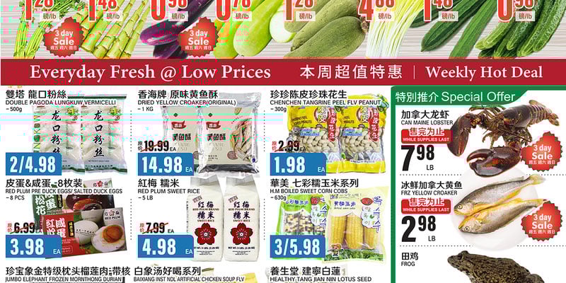 Flyer thumbnail image