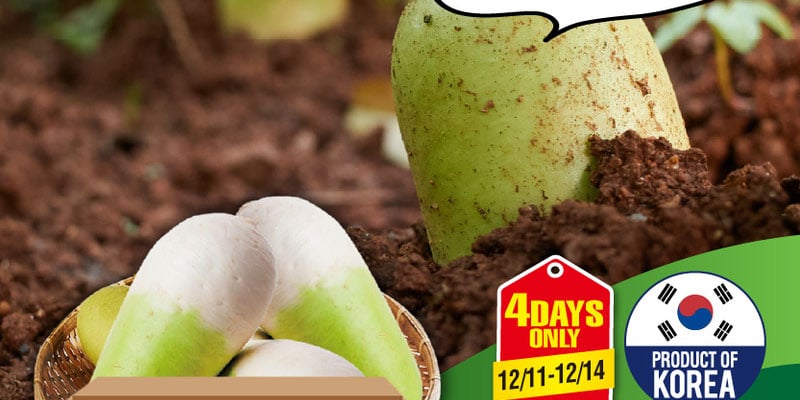 Flyer thumbnail image