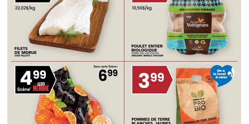 Flyer thumbnail image