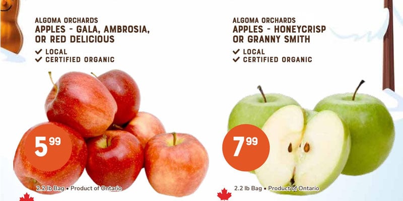 Flyer thumbnail image