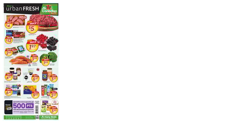 Flyer thumbnail image