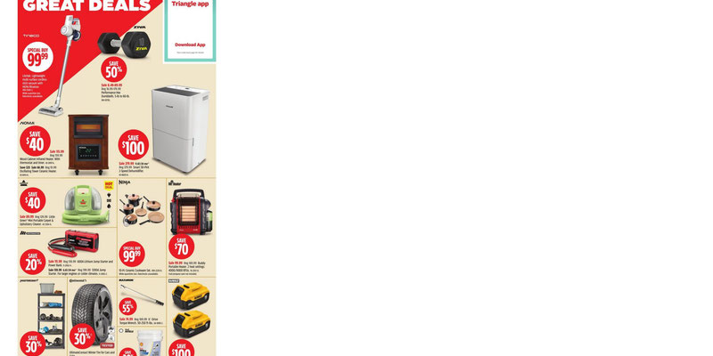 Flyer thumbnail image