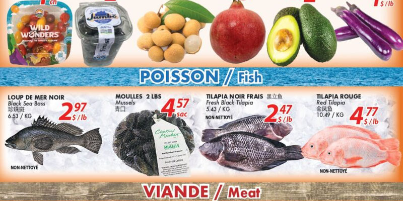 Flyer thumbnail image