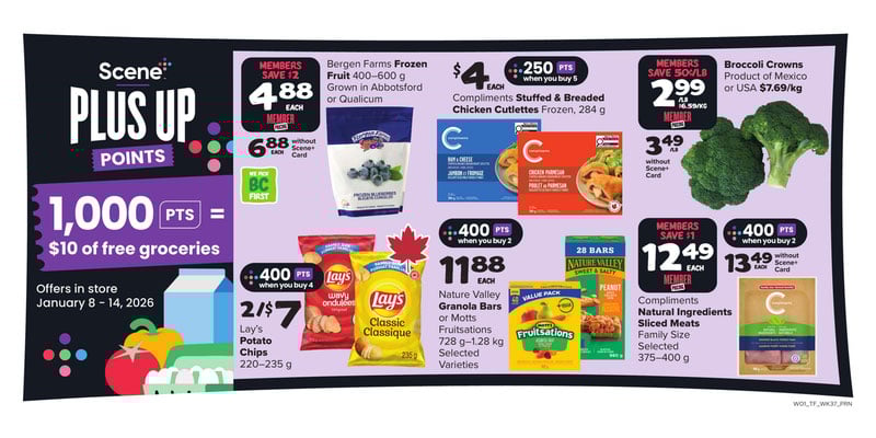 Flyer thumbnail image