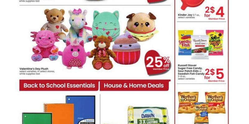 Flyer thumbnail image