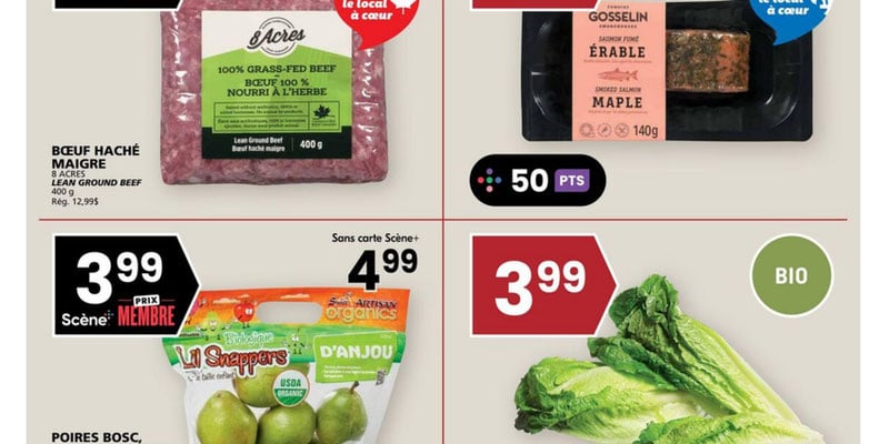 Flyer thumbnail image