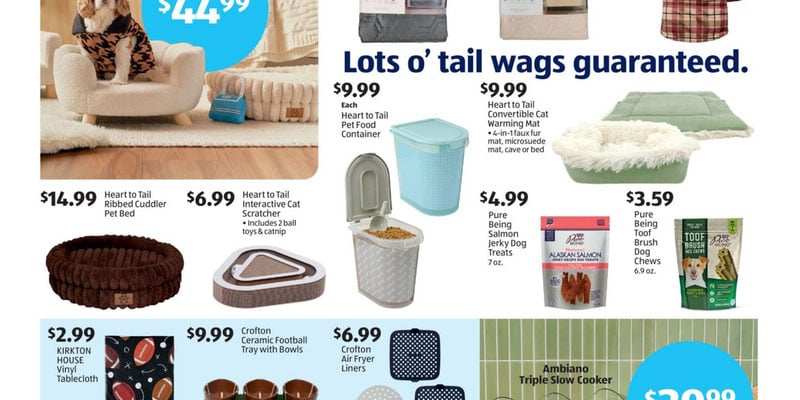 Flyer thumbnail image