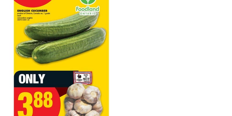 Flyer thumbnail image