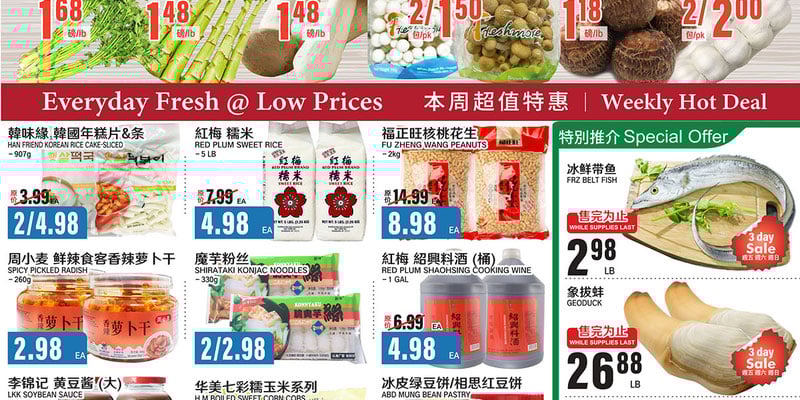 Flyer thumbnail image