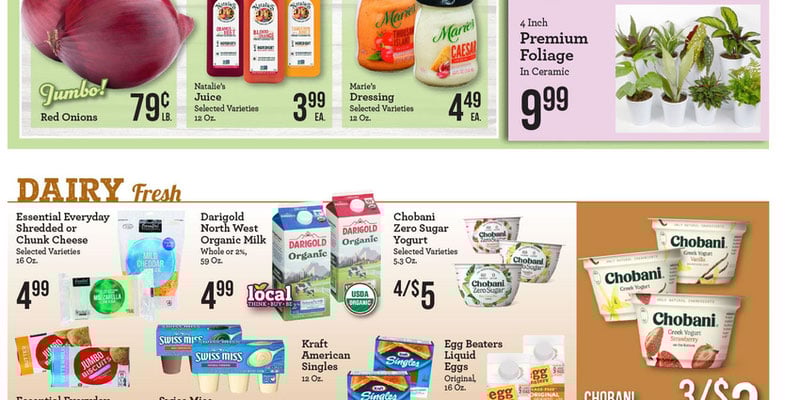 Flyer thumbnail image