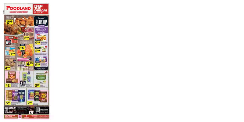 Flyer thumbnail image