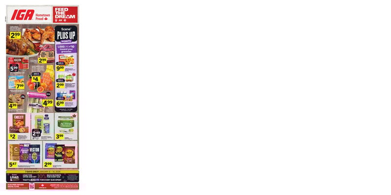 Flyer thumbnail image