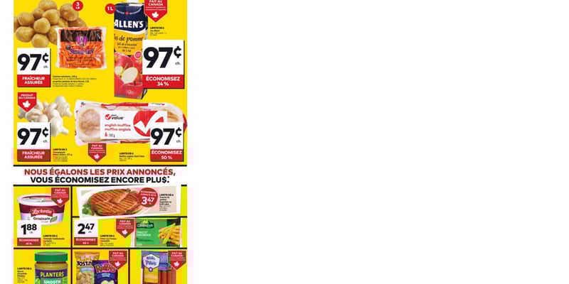 Flyer thumbnail image