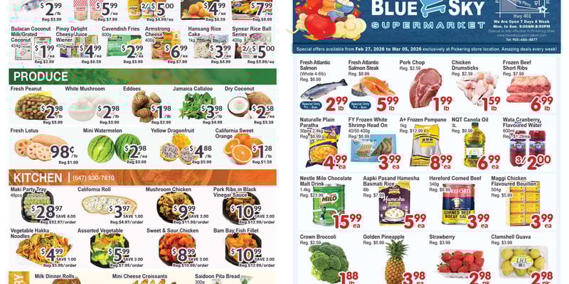 Flyer thumbnail image