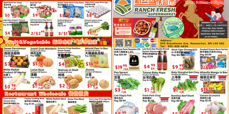 Flyer thumbnail image