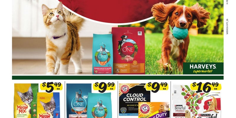 Flyer thumbnail image