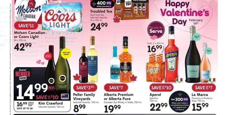 Flyer thumbnail image