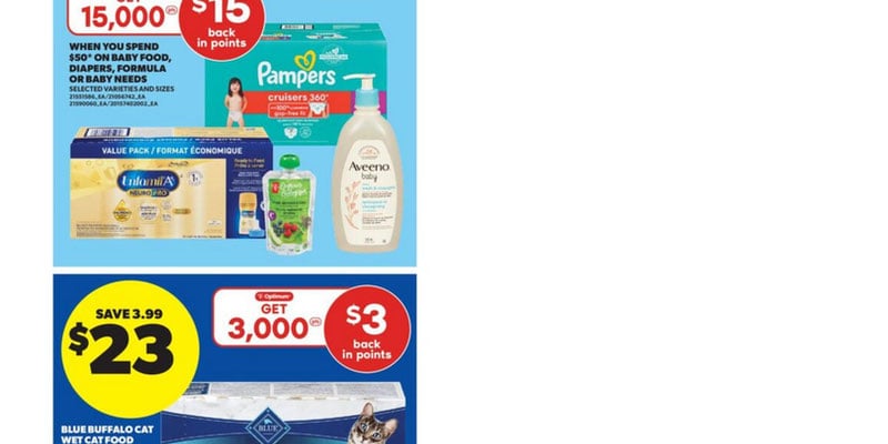 Flyer thumbnail image