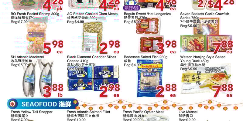 Flyer thumbnail image