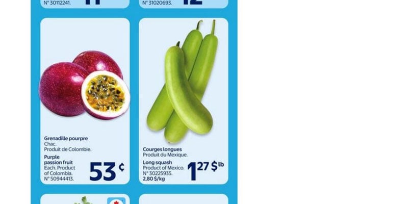 Flyer thumbnail image