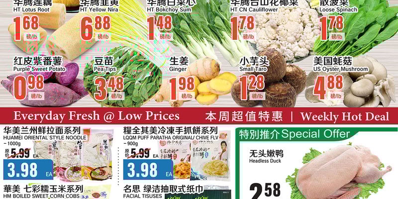 Flyer thumbnail image