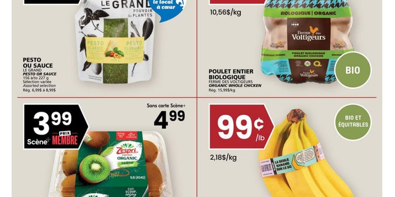 Flyer thumbnail image