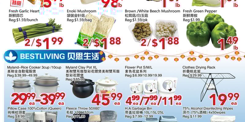 Flyer thumbnail image