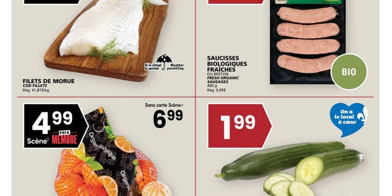 Flyer thumbnail image