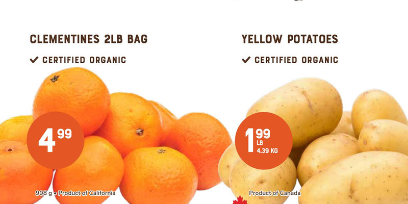 Flyer thumbnail image