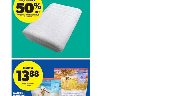 Flyer thumbnail image