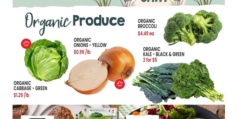 Flyer thumbnail image