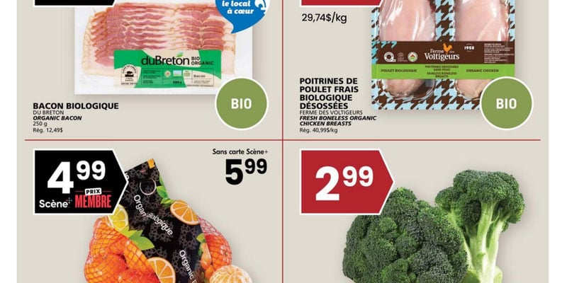 Flyer thumbnail image