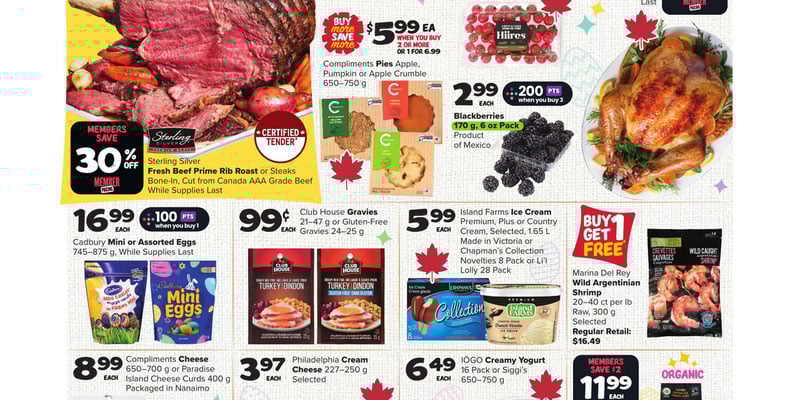 Flyer thumbnail image