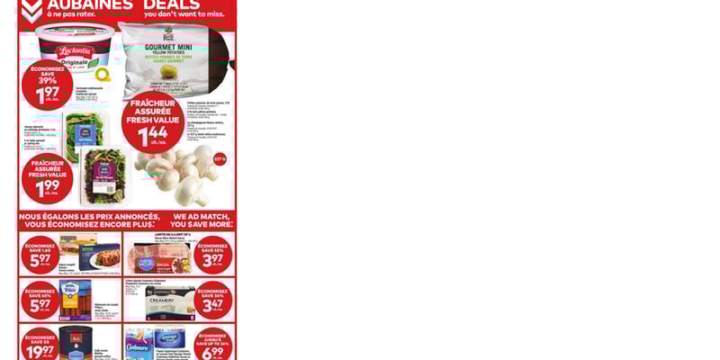 Flyer thumbnail image