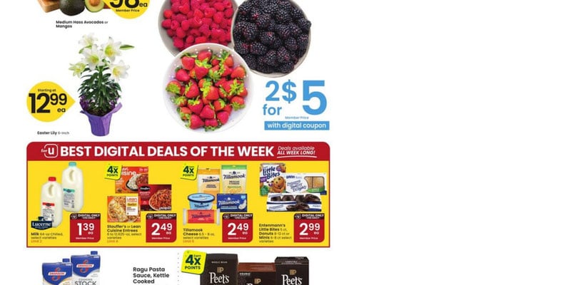 Flyer thumbnail image