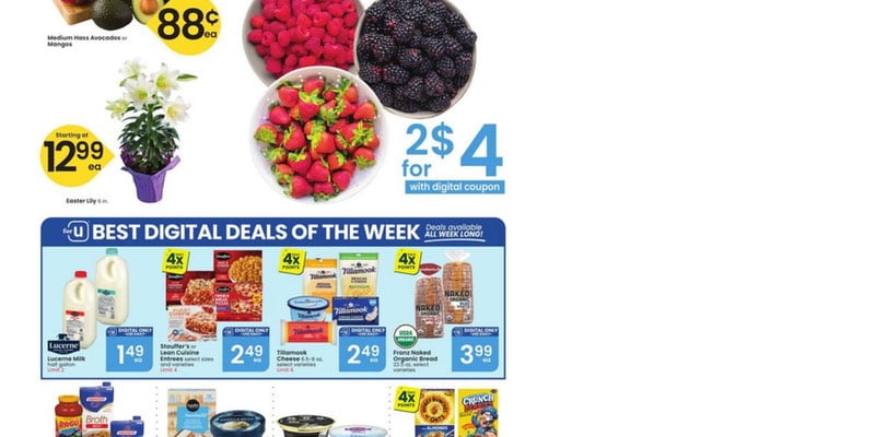 Flyer thumbnail image