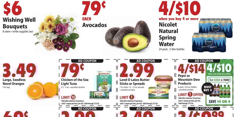 Flyer thumbnail image