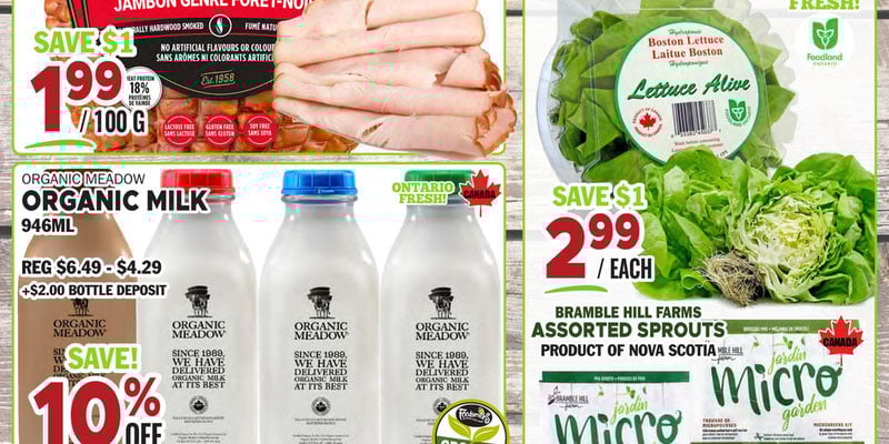 Flyer thumbnail image